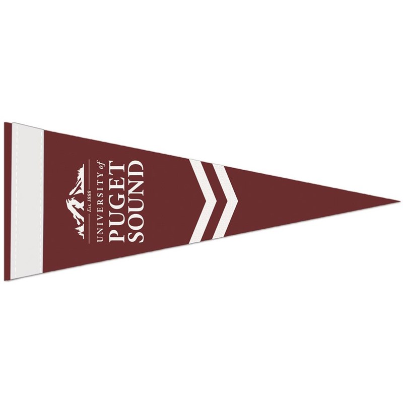 Custom 4'' x 10'' Colored Felt Pennant - Printed School Supplies | Campus Marketing Specialists
